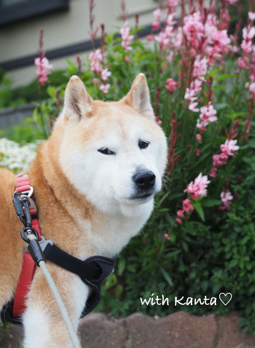 9日ブログ2