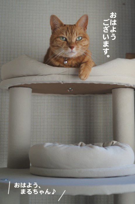 22日ブログ２