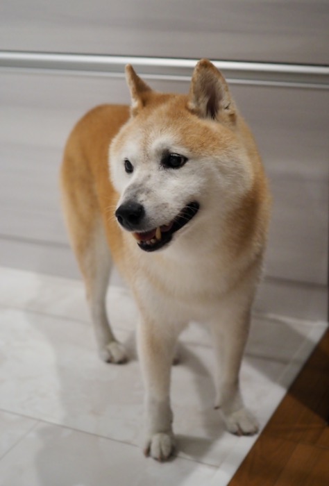12日ブログ２
