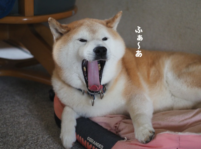 1日午前ブログ１