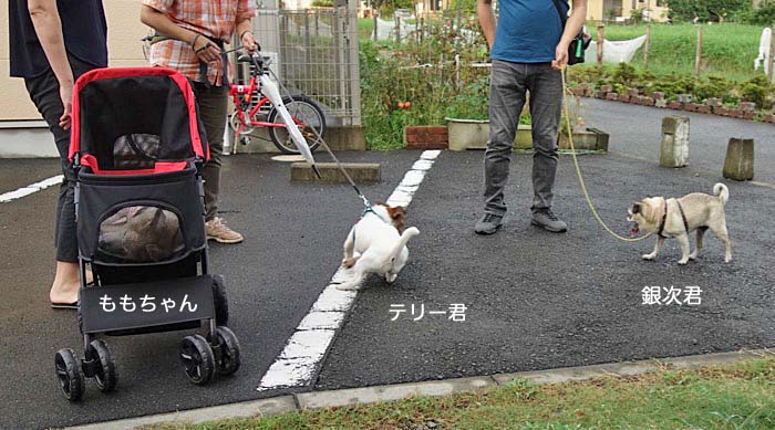 23日夜ブログ１