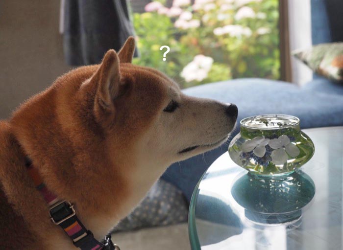 12日ブログ１