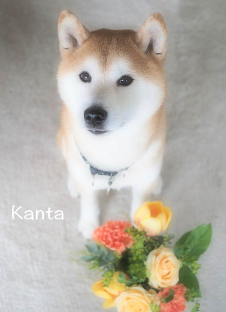 12日ブログ11