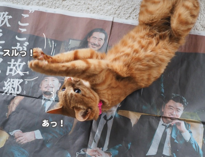 29日ブログ６