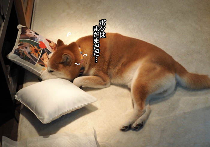 5日夜ブログ３