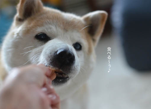 24日ブログ11.jpg