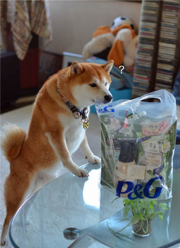 29日ブログ3.jpg