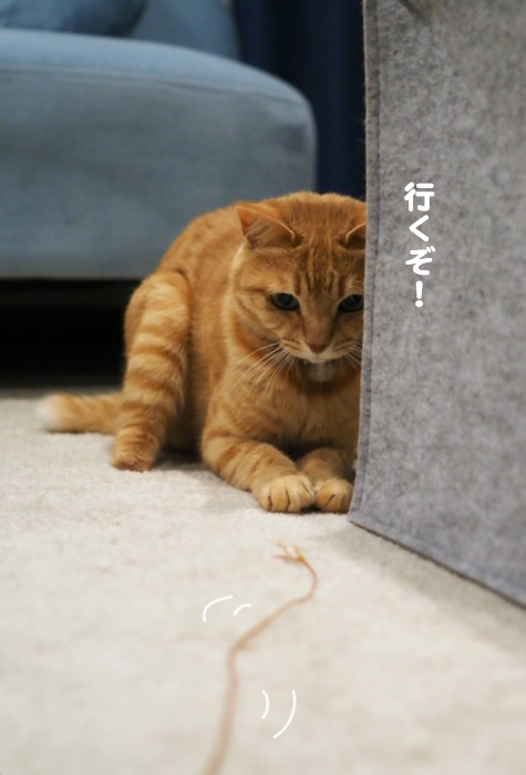 20日夕ブログ４