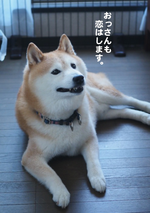 17日夕ブログ14