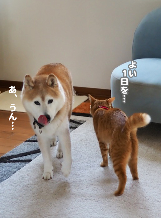 23日午前ブログ４