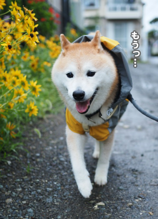 17日ブログ２