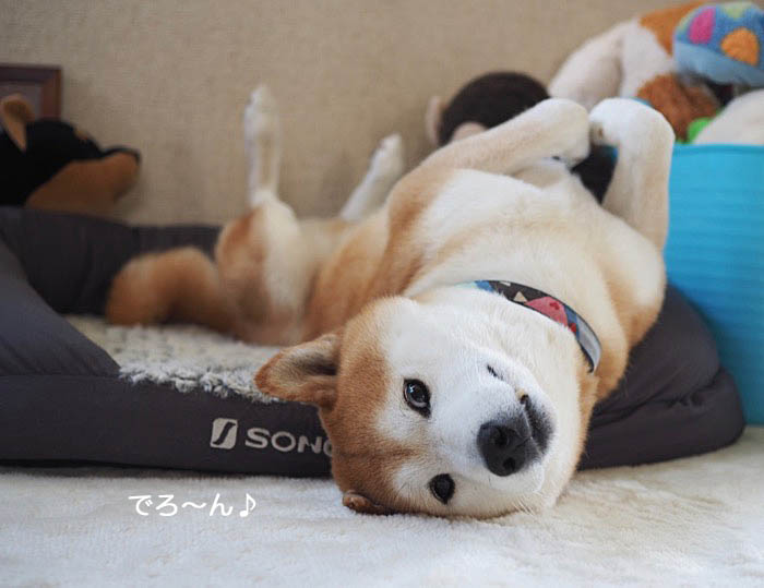 18日ブログ４