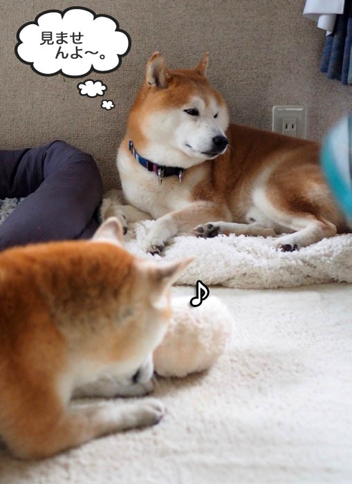 12日ブログ７