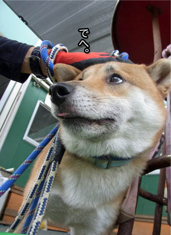13日ブログ7.jpg