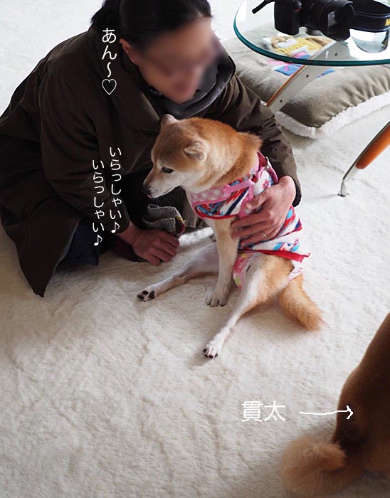 15日ブログ2