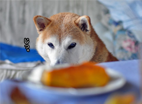 26日ブログ8.jpg