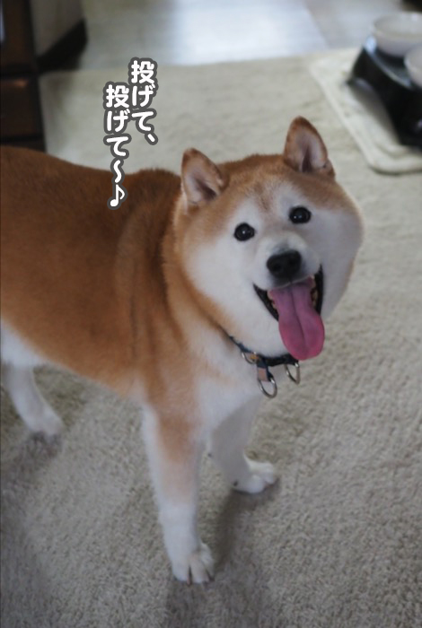 22日ブログ２