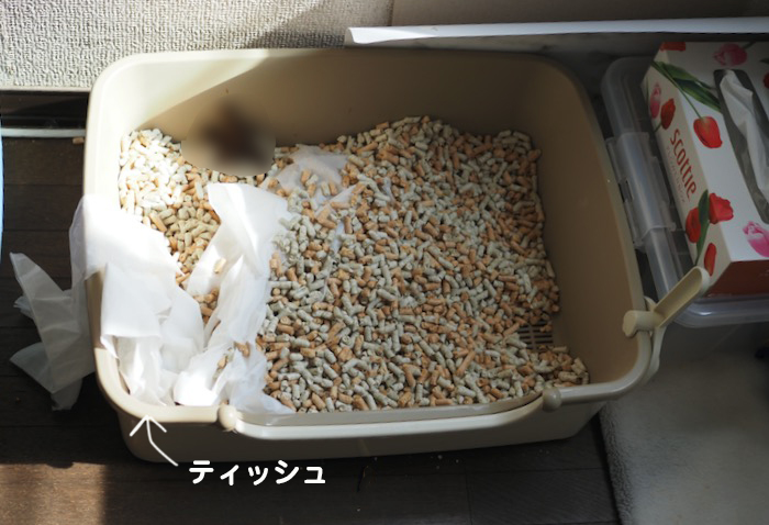 31日夕ブログ２