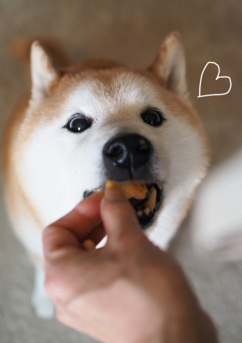 4日ブログ５