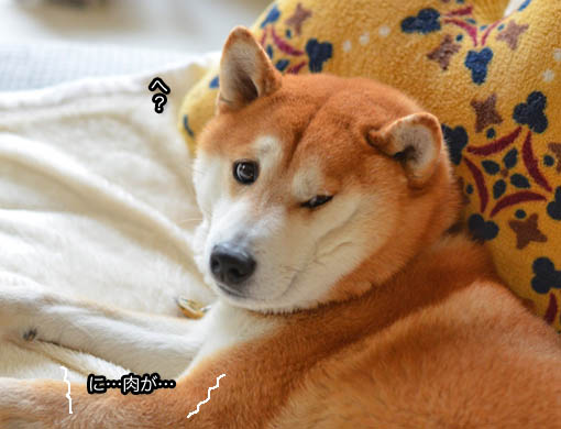 20日ブログ10.jpg