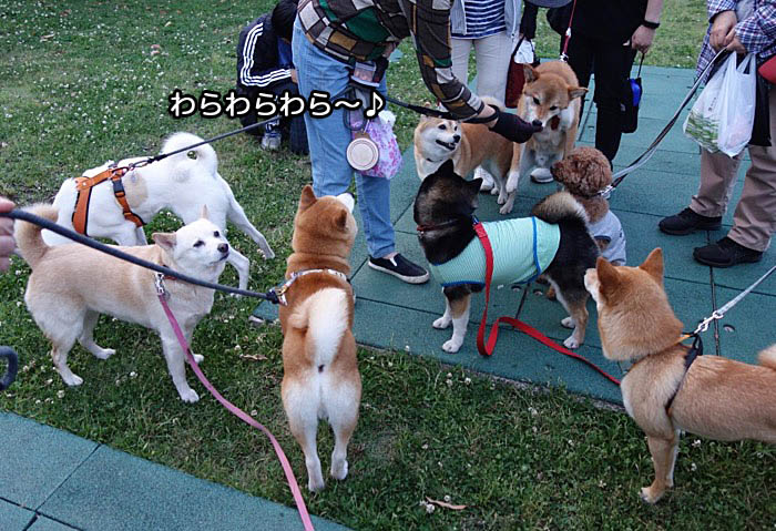 6日午後ブログ4
