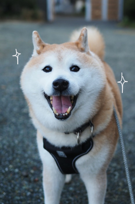 23日夕ブログ５