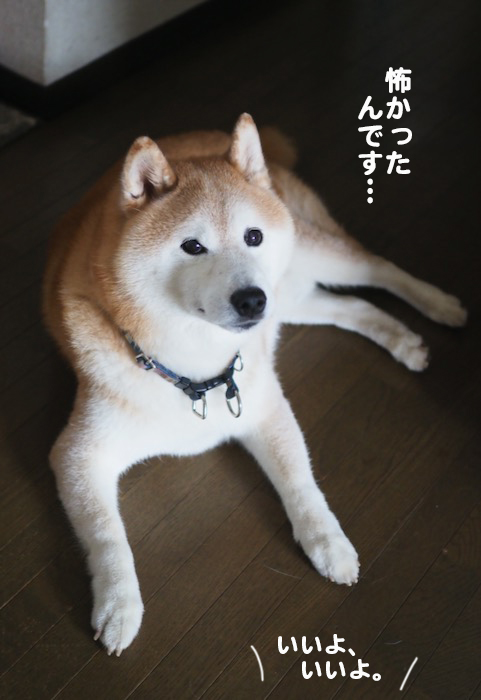 1日午前ブログ３
