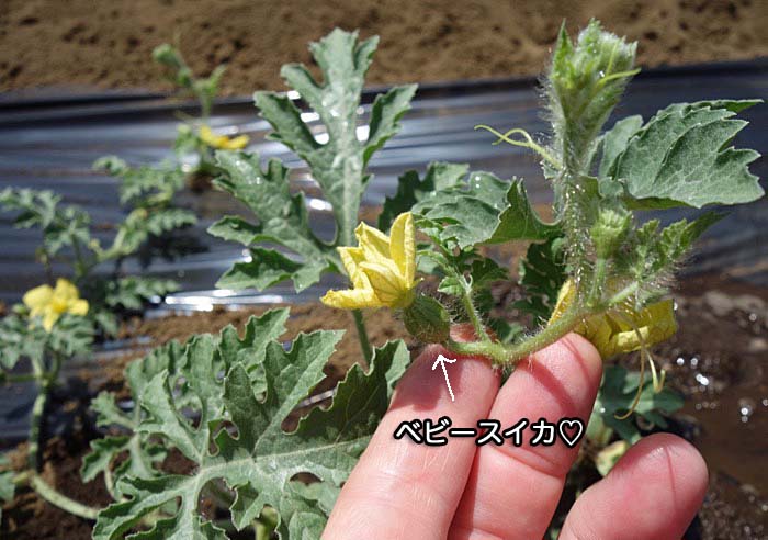 14日ブログ４