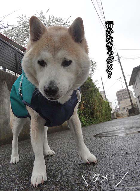 8日ブログ2