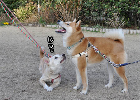 22日ブログ3.jpg