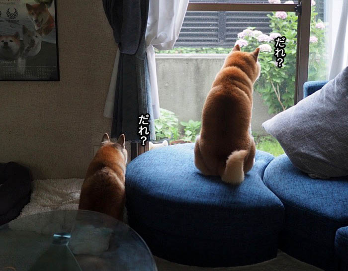 6日ブログ２