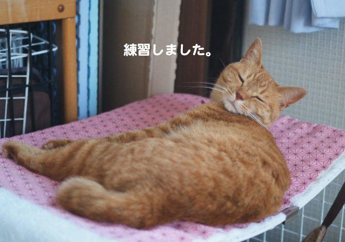 11日夕ブログ２