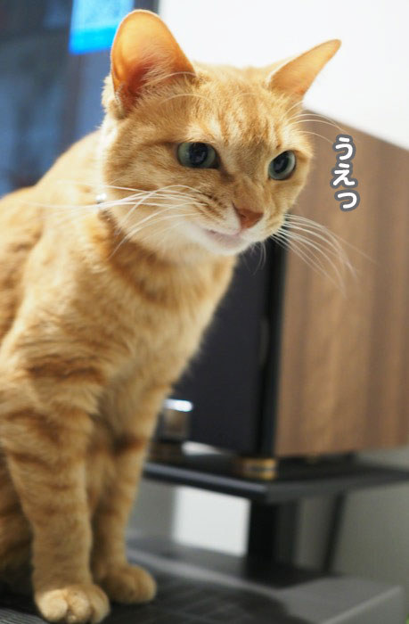 9日夕ブログ６