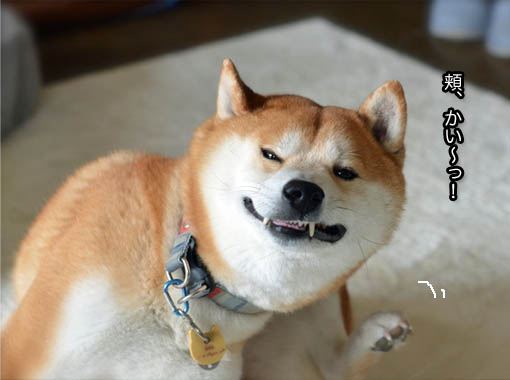 8日ブログ7.jpg