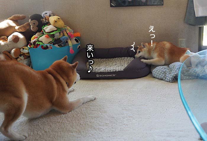 7日ブログ４