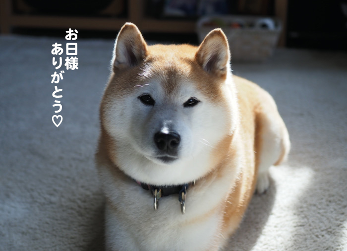 25日ブログ４