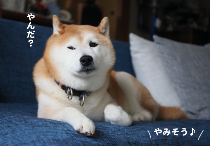 14日ブログ４