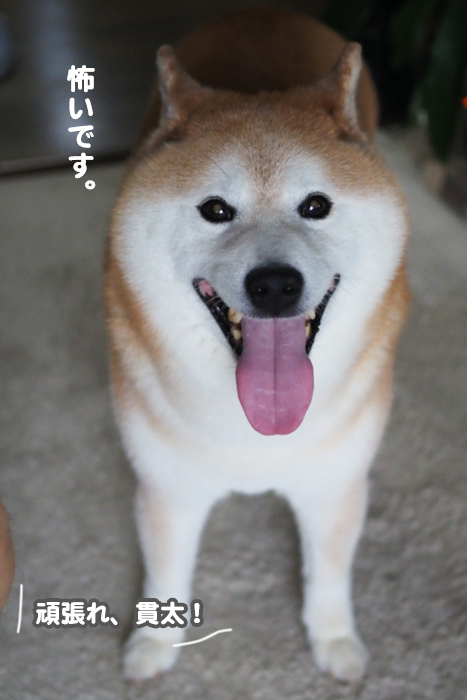 28日夕ブログ７