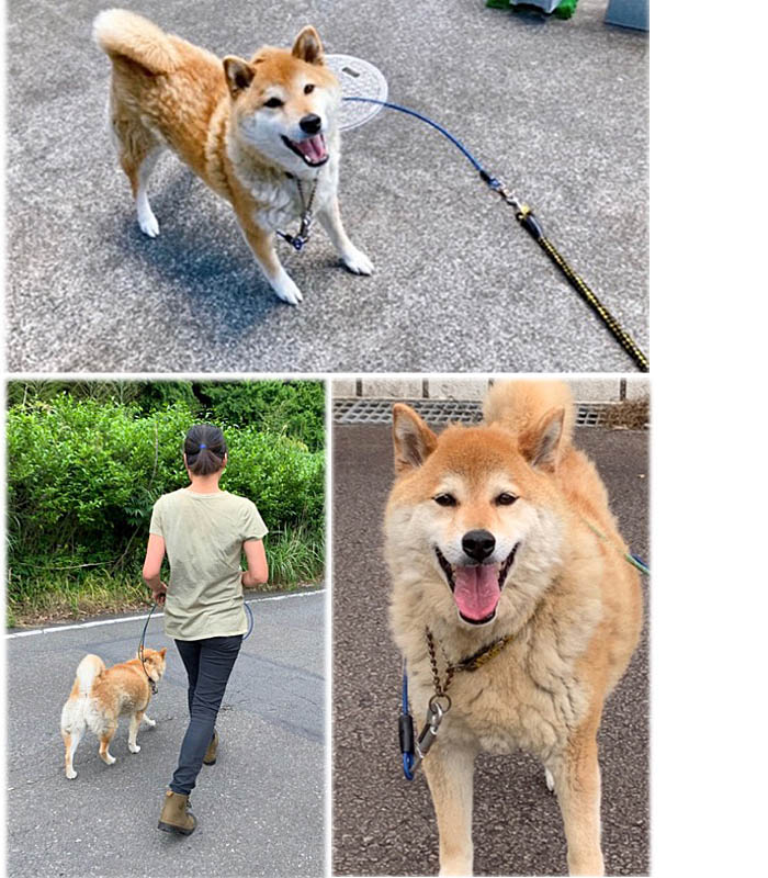 18日ブログ６