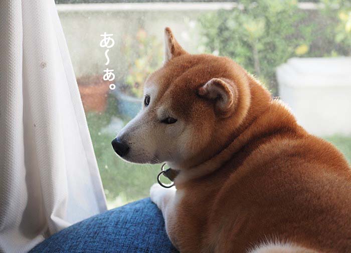 13日ブログ５