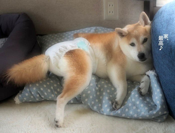 18日夕ブログ３