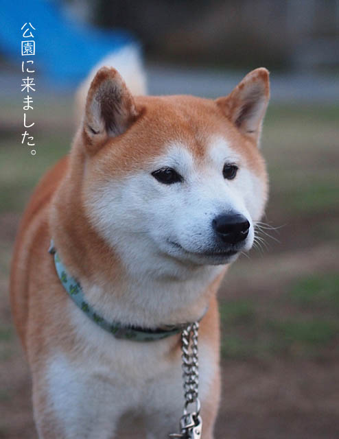 19日ブログ2