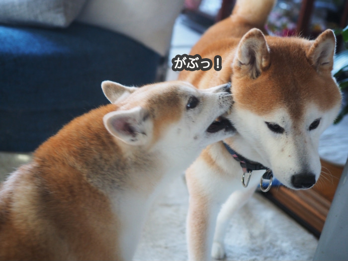 21日夜ブログ２