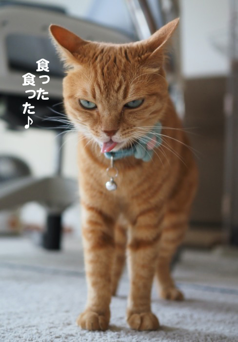 31日夕ブログ４