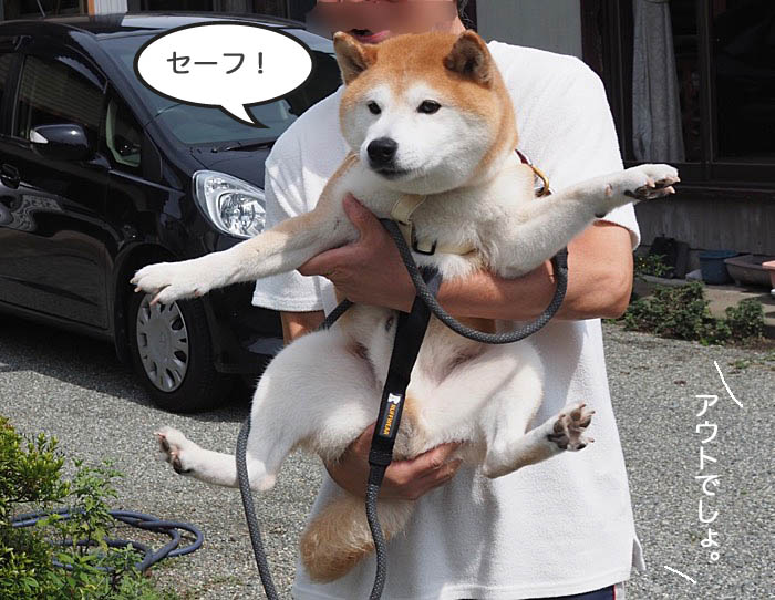 6日ブログ3