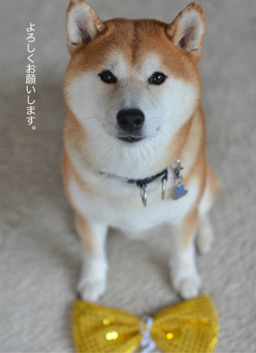 23日ブログ6.jpg