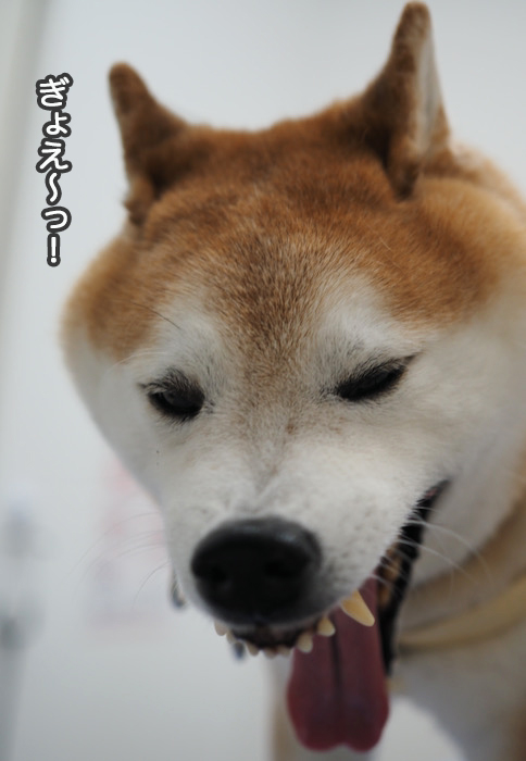 10日昼ブログ４