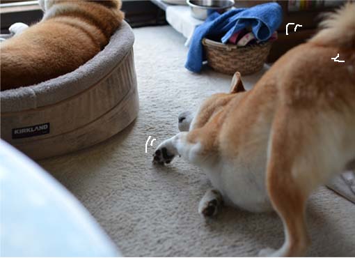22日ブログ4.jpg