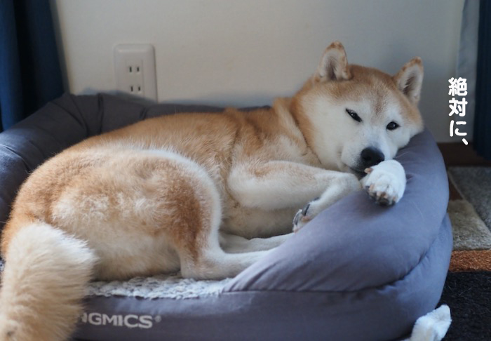 14日夜ブログ５