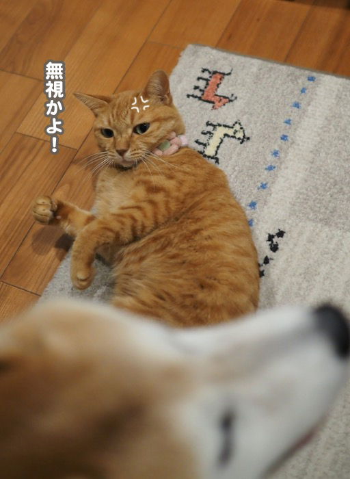 23日ブログ５